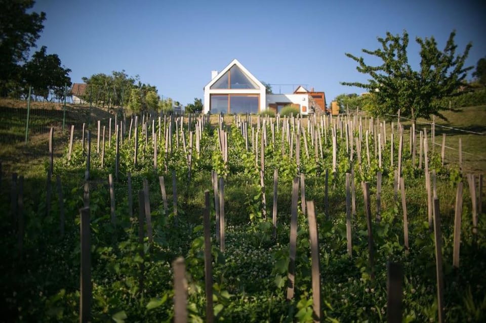 Ég & Föld Borvendégház Bed and Breakfast in Hungary