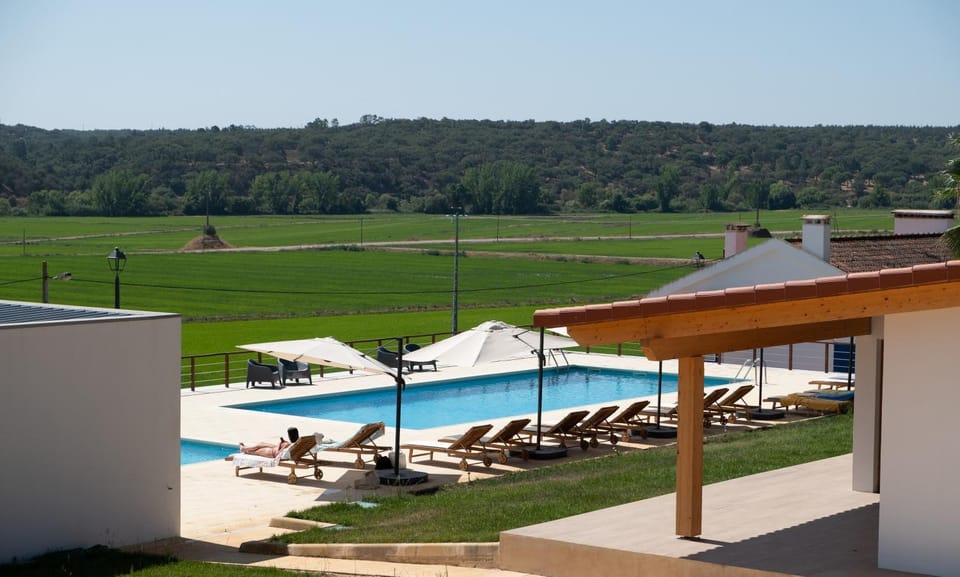 Pool view, Swimming pool