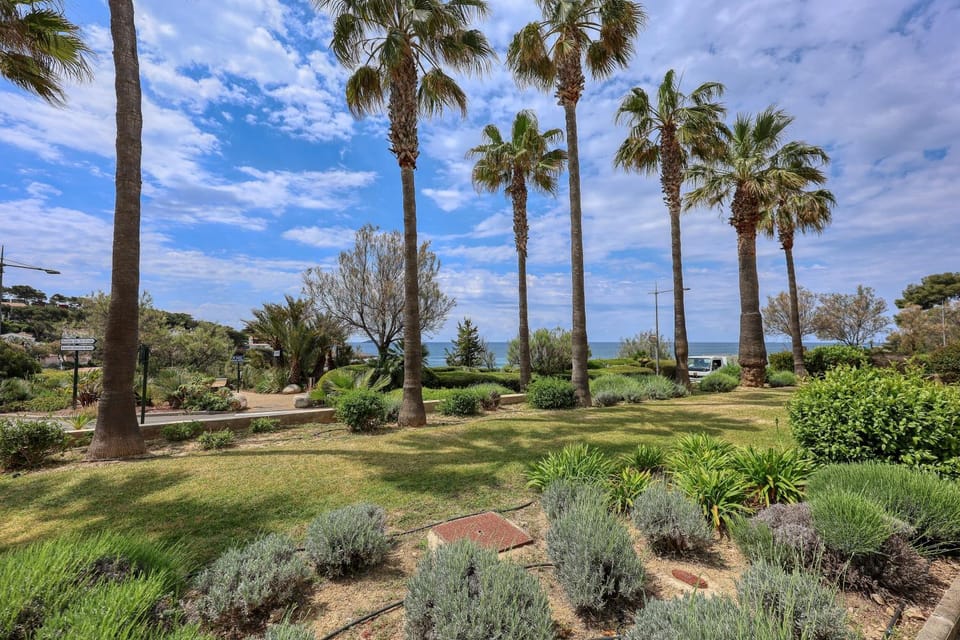 Natural landscape, Garden view