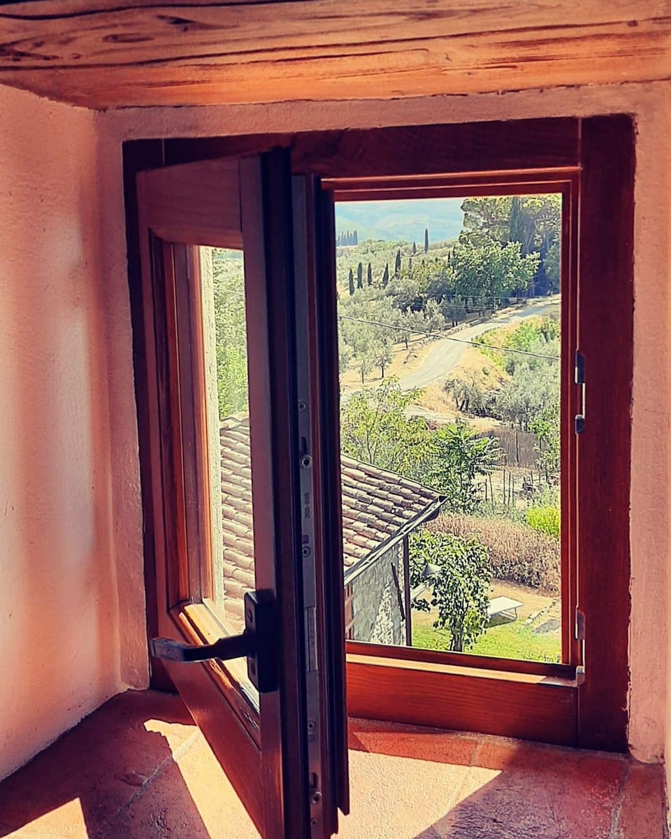 View (from property/room)