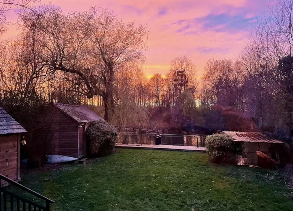 Garden, Sunset