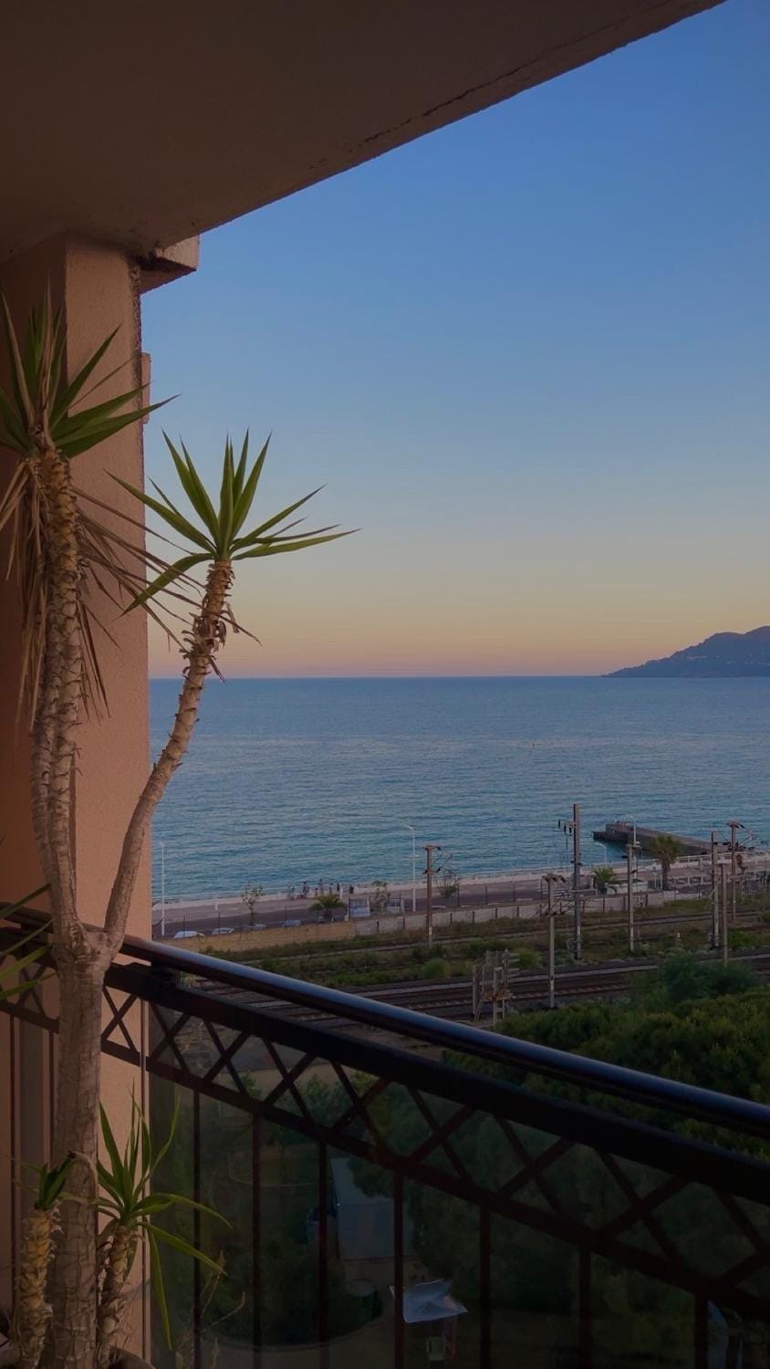 Cannes Beach Residence vue mer et pisicne Apartment in Cannes