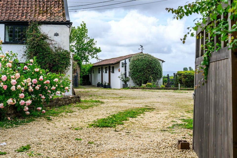 Property building, Day, Garden view