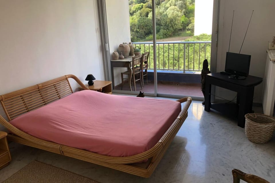 Bed, TV and multimedia, View (from property/room), Balcony/Terrace, Photo of the whole room, Bedroom