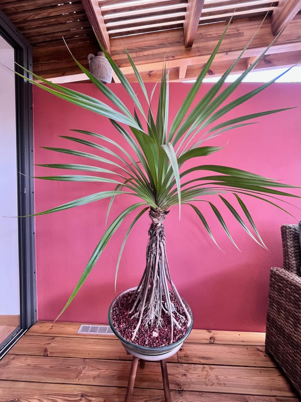 Leu Vacoa Apartment in Saint-Leu