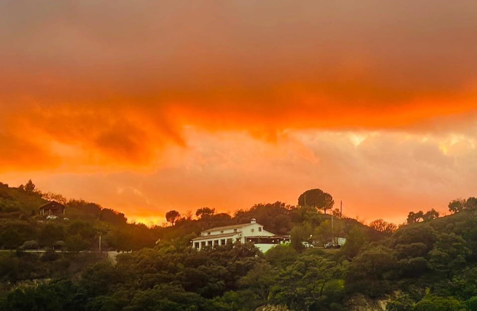 Restaurant/places to eat, Sunset