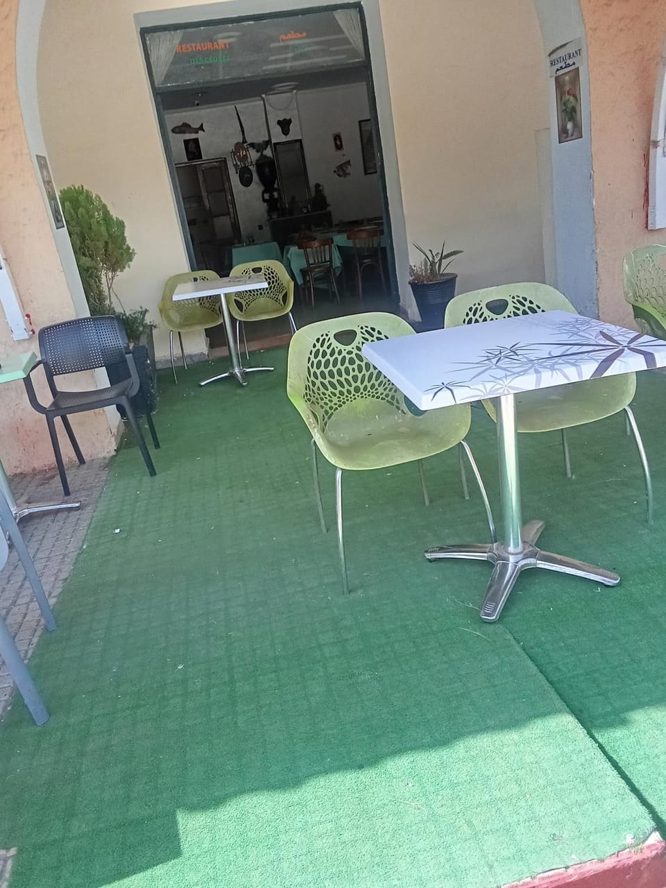 Hôtel des cedres azrou Hotel in Marrakesh-Safi