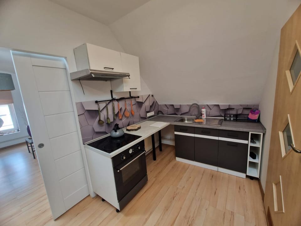 Kitchen or kitchenette, oven, stove