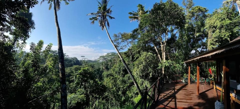 Natural landscape, River view