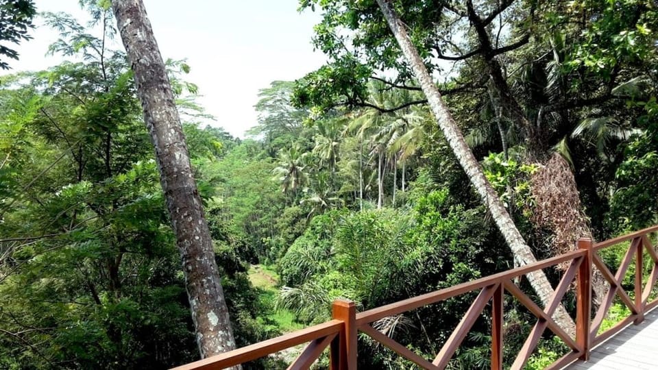 Natural landscape, River view