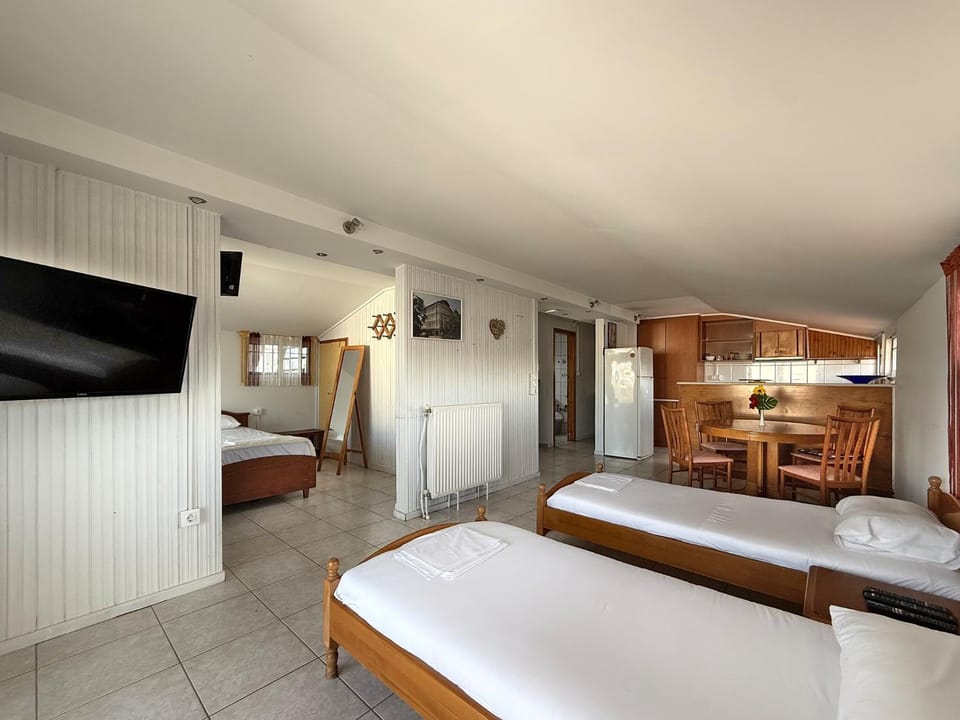 Bed, TV and multimedia, Kitchen or kitchenette, Living room, Photo of the whole room, Seating area, Bedroom, wardrobe