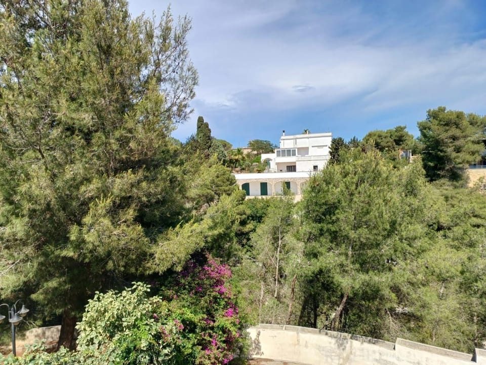 Natural landscape, Garden view