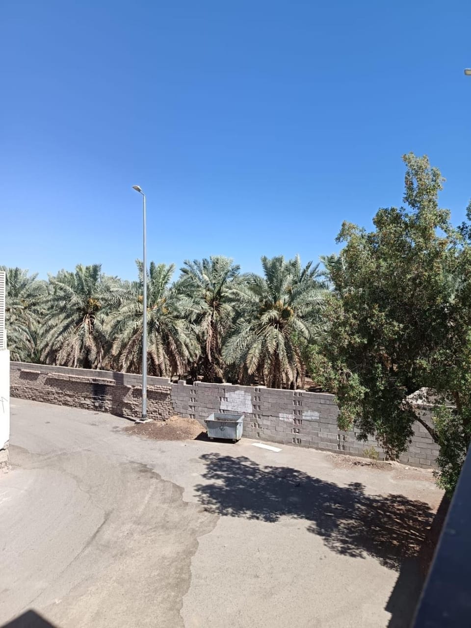View (from property/room)