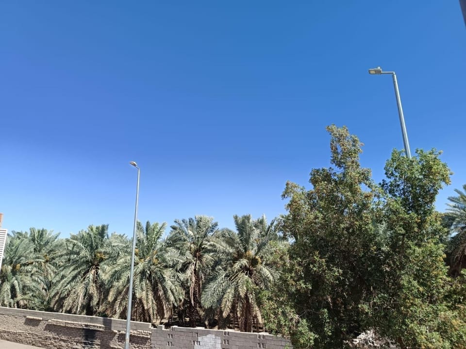 Day, Natural landscape, View (from property/room), City view, Quiet street view