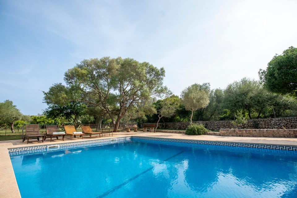 Day, Garden, Swimming pool, sunbed