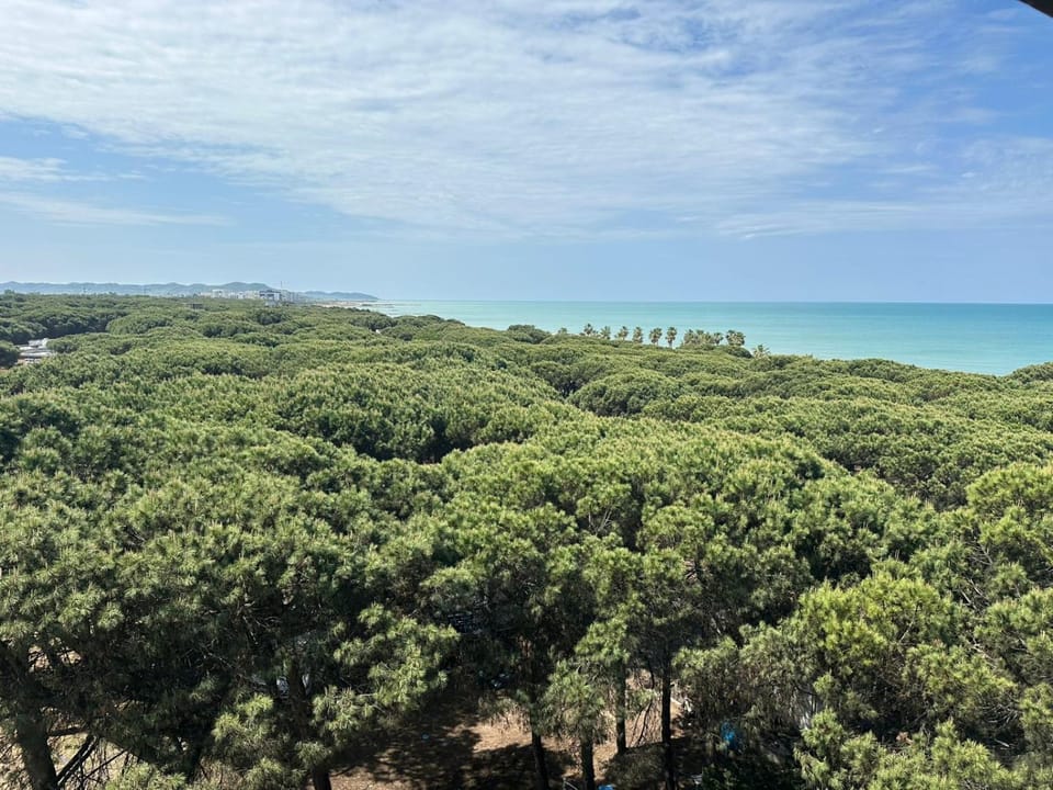 Nearby landmark, Day, Natural landscape, Bird's eye view, Beach, Sea view