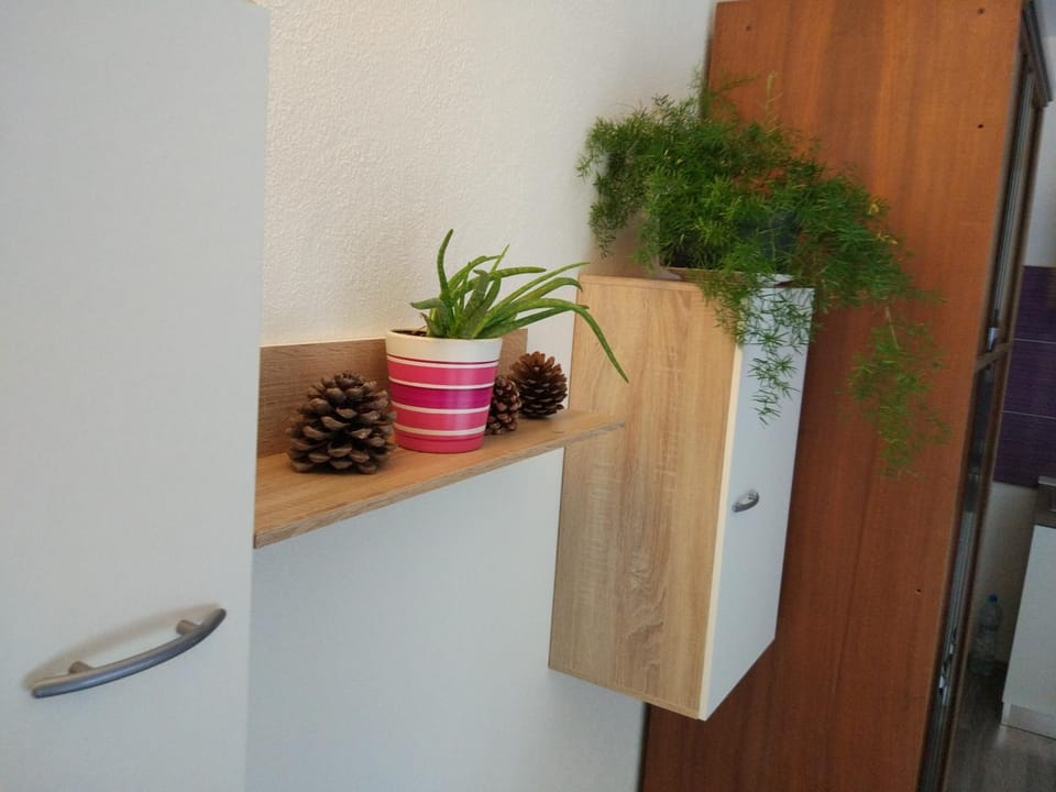 Apartment Tome Apartment in Biograd na Moru