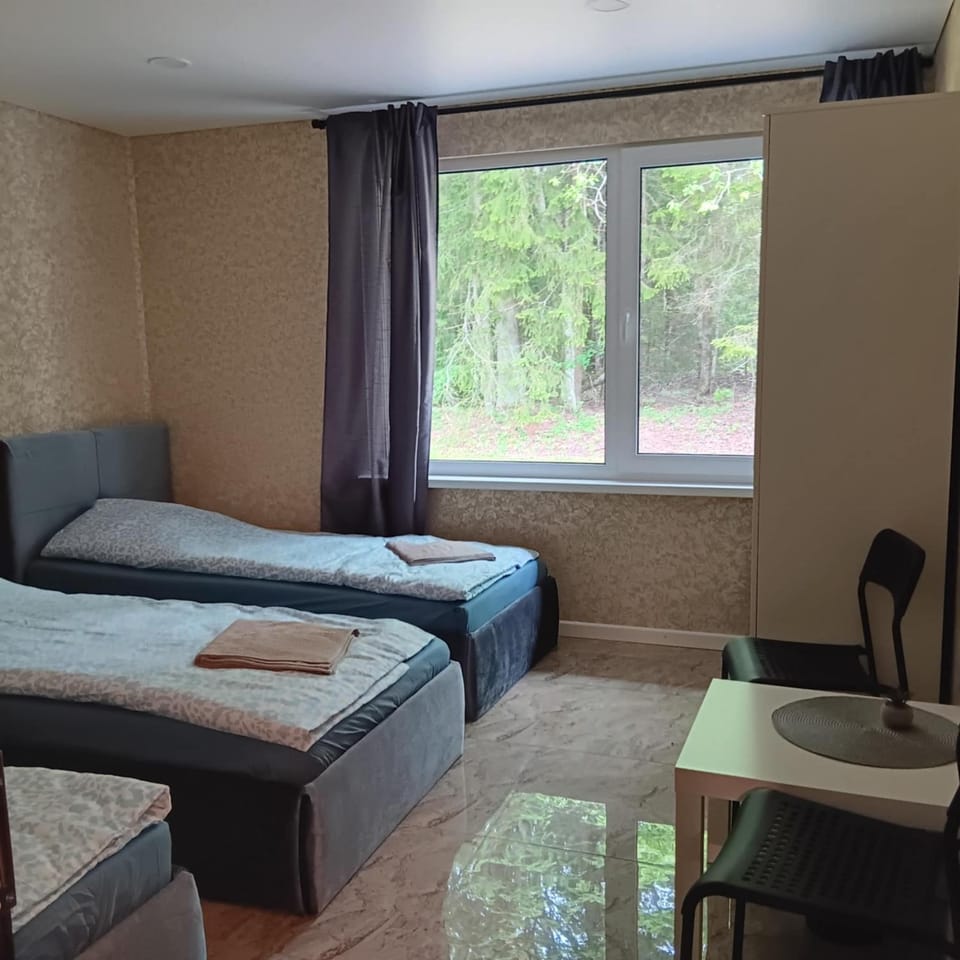 Valva vila Villa in Vilnius County, Lithuania