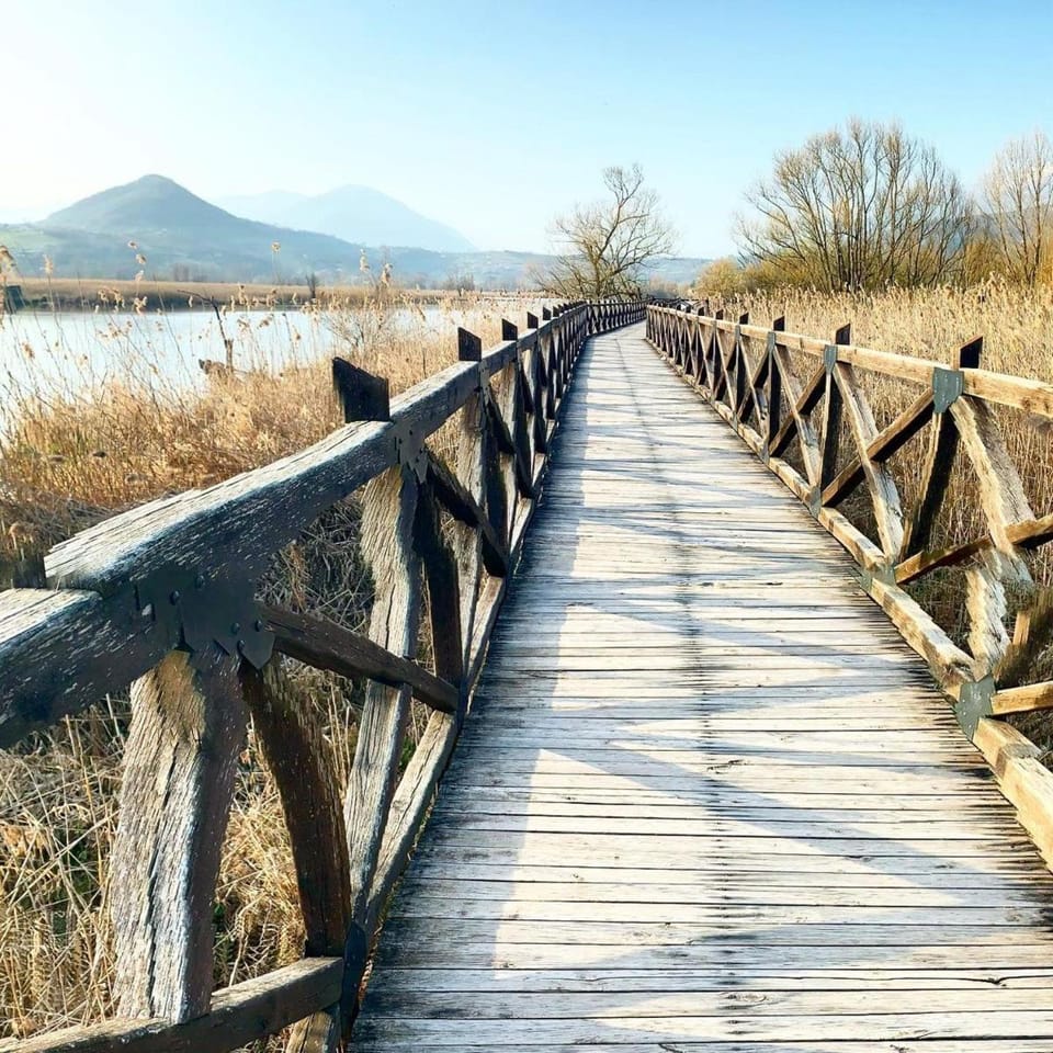 Natural landscape