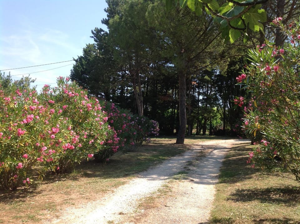 Un îlot tropical en Cévennes House in Alès