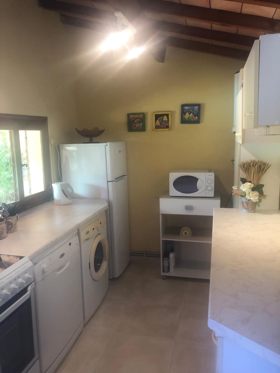 Un îlot tropical en Cévennes House in Alès