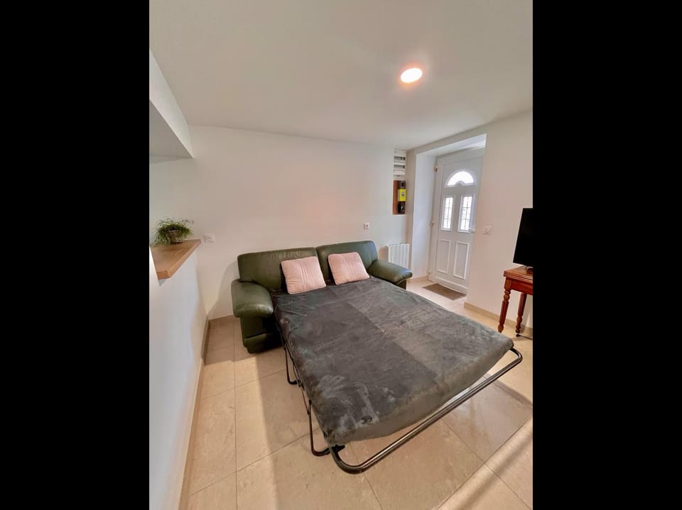 Bed, Living room, Photo of the whole room, Bedroom
