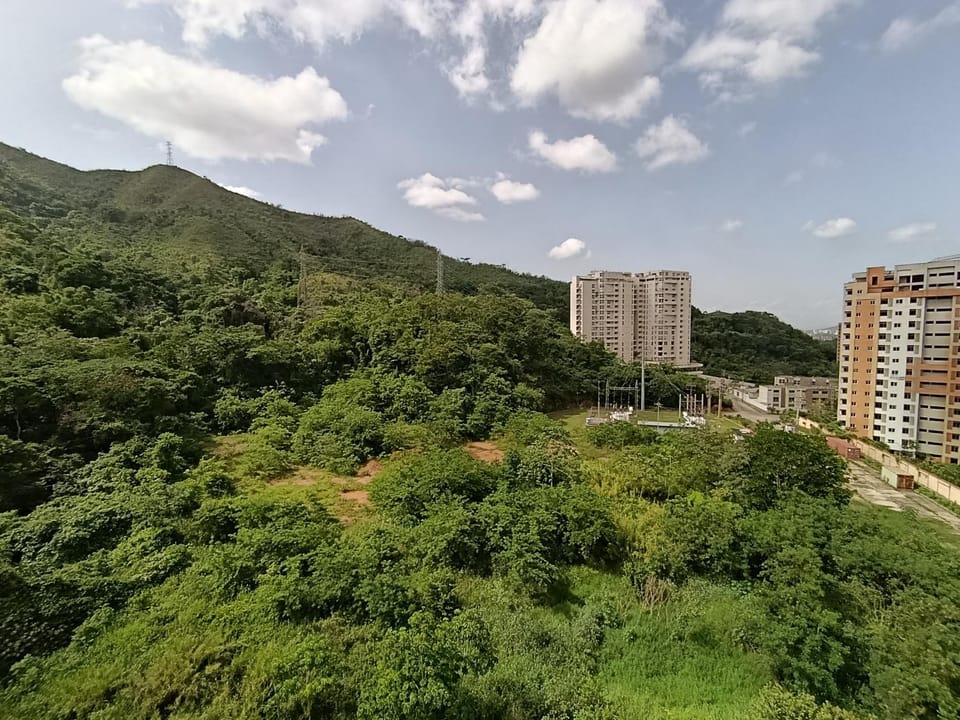 Mountain view