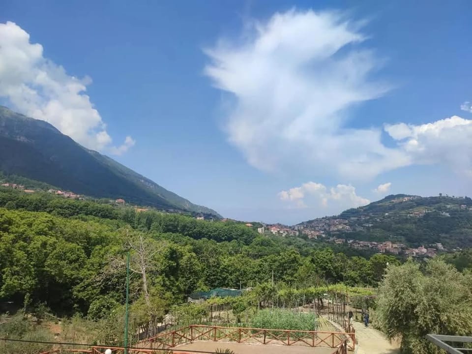 Villa familiare La Masseria A 20 Min da Pompei e 40 Min da Amalfi e Sorrento Apartment in Agerola