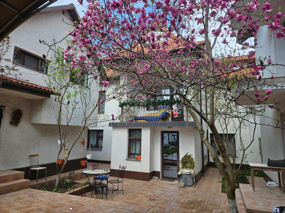 Patio, Spring, Day, Garden, Garden view
