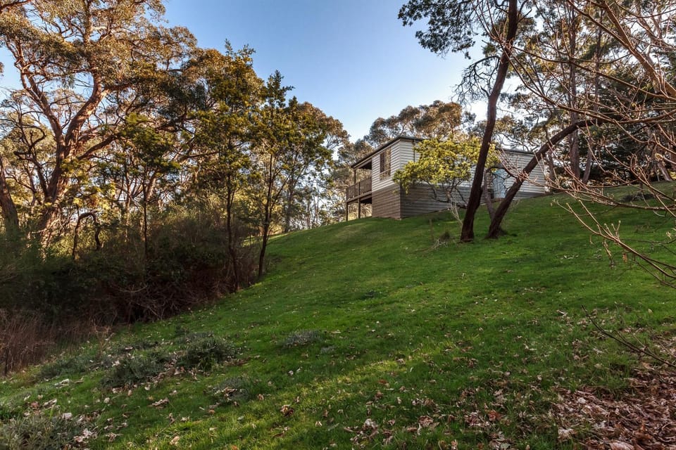 Property building, Day, Garden, Autumn, Garden view, Sunset