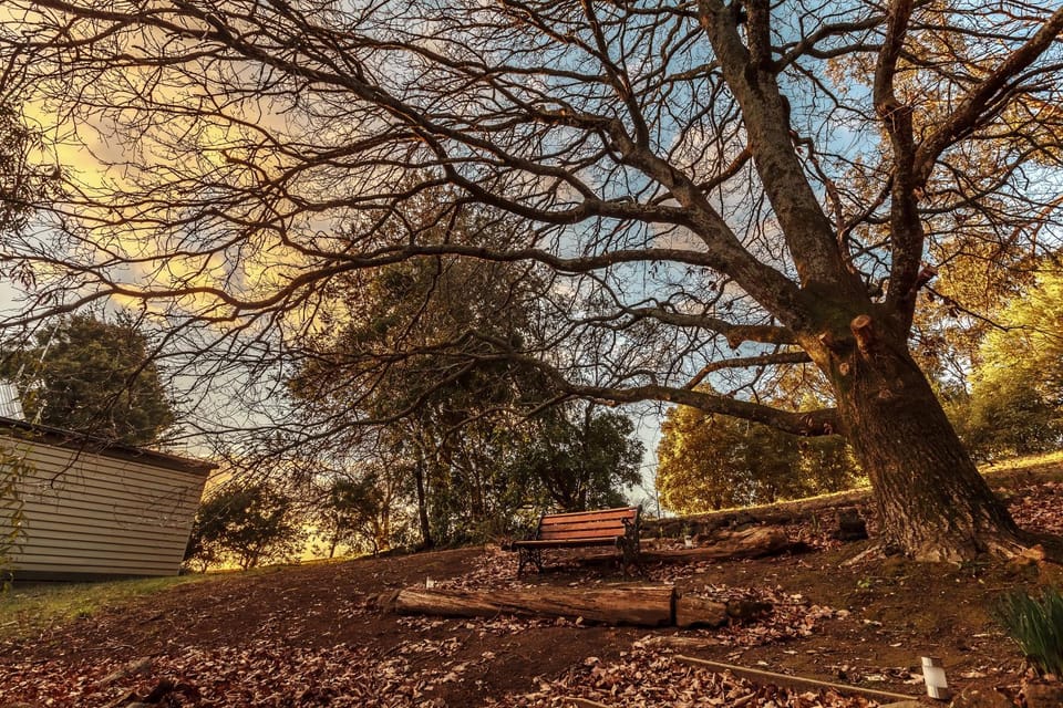 Garden, Autumn, Area and facilities, Sunset