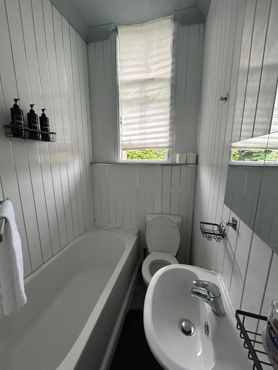 Central Dalkeith Road Apartment Apartment in Edinburgh