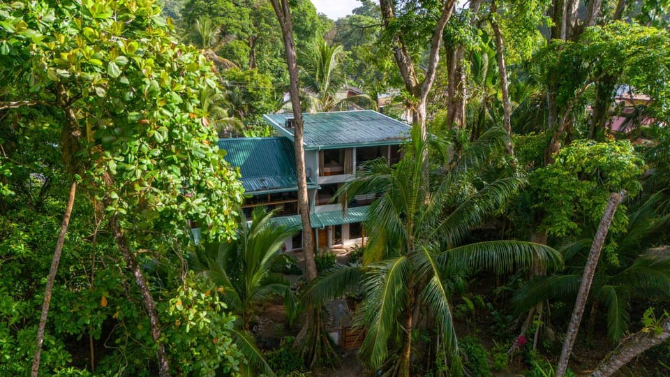 White Pearl - Apartments on the Beach with AC and Pool Apartment in Puerto Viejo Talamanca