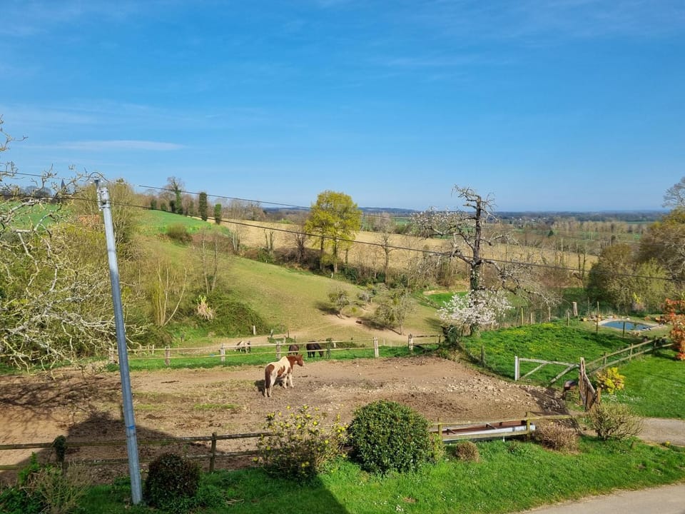 Natural landscape