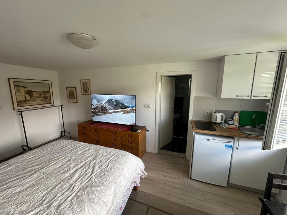 Bed, Kitchen or kitchenette, Photo of the whole room