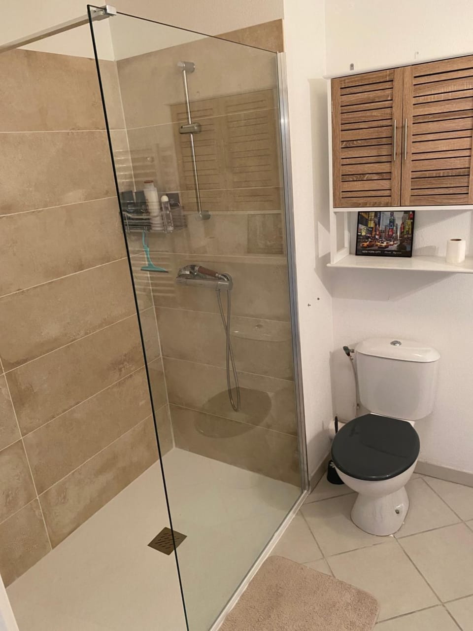 Shower, Toilet, Bathroom