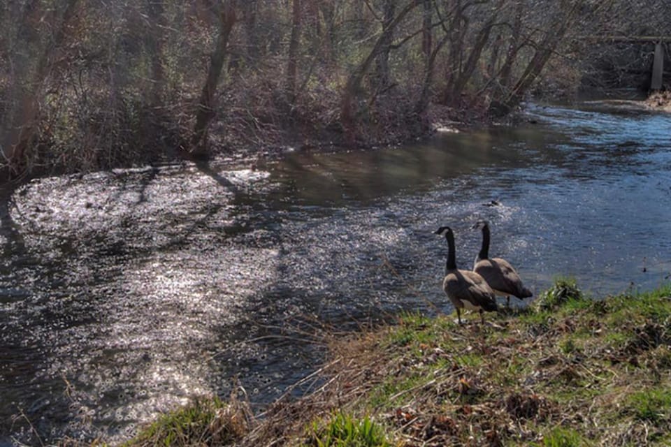 Big Cypress Mansion by Venture Smoky Mountains House in Pigeon Forge