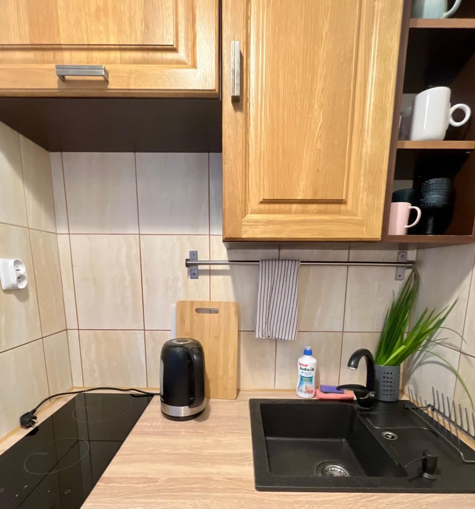 Apartament Baltic Breeze blisko morza Apartment in Gdansk