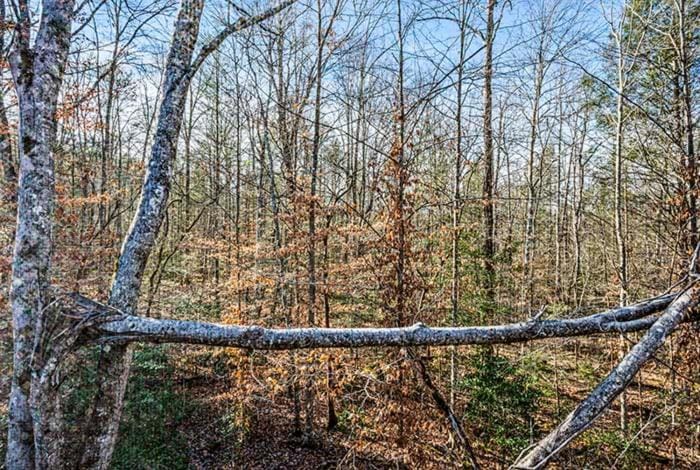 Dancing Bear Hideaway by Venture Smoky Mountains House in Pittman Center