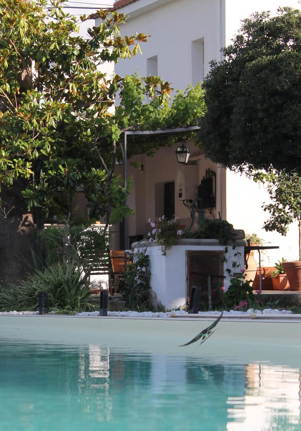 Pool view