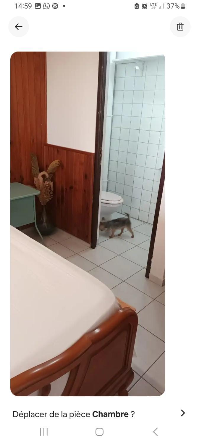 Appart Vue Mer Apartment in Les Abymes
