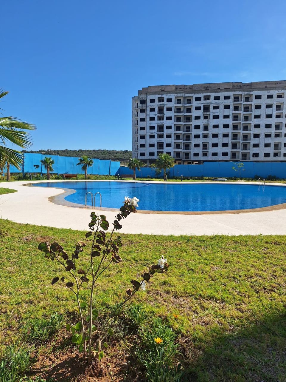 Pool view