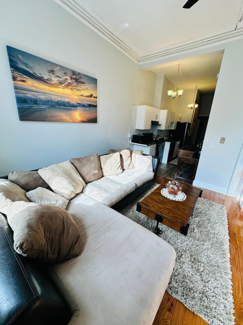 Charming, Spacious Apartment Downtown Albany Apartment in Albany