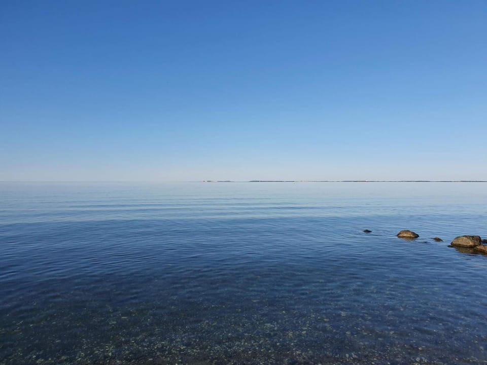 Lake view