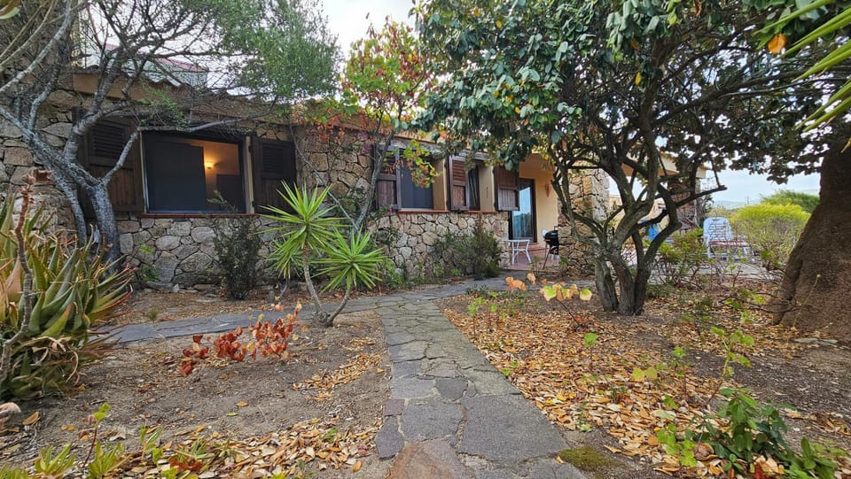 Garden, Garden view