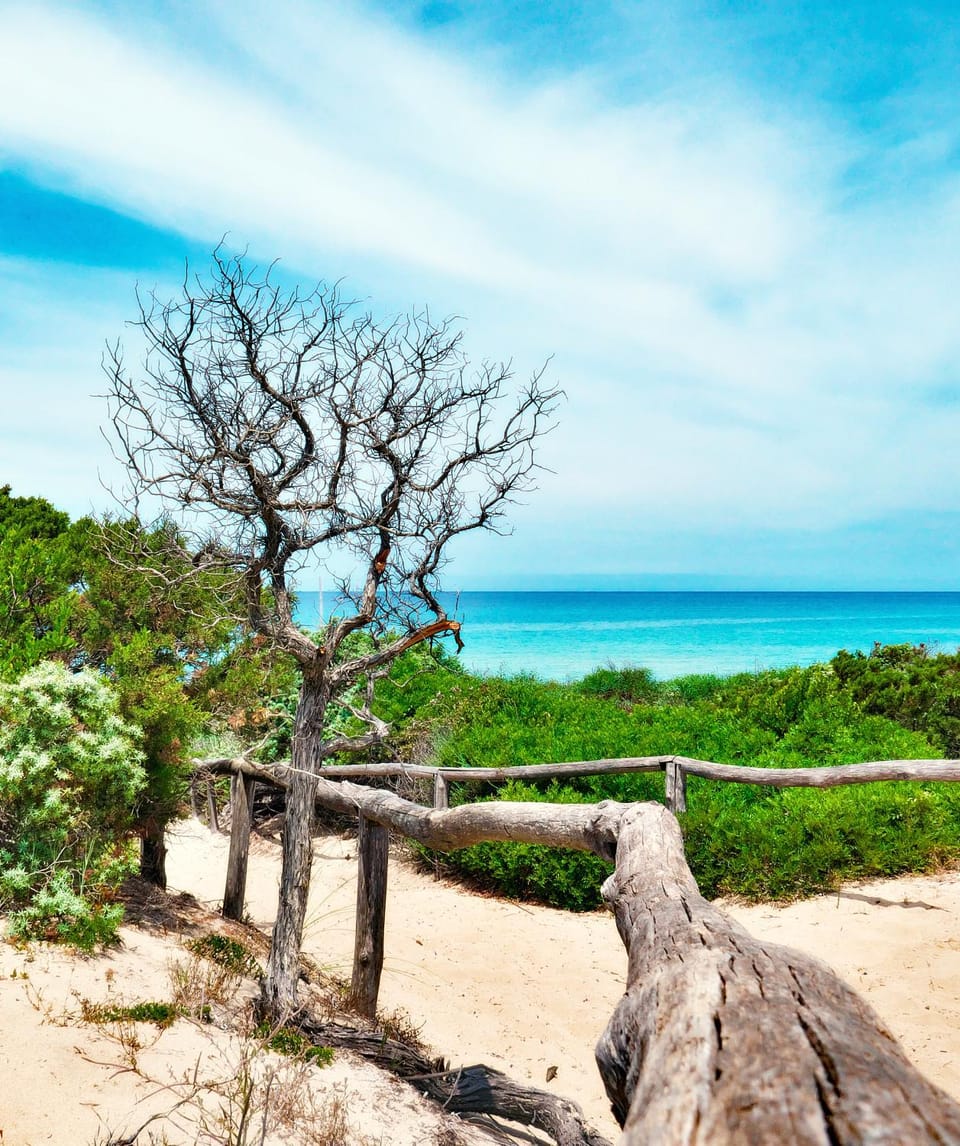 Sea view
