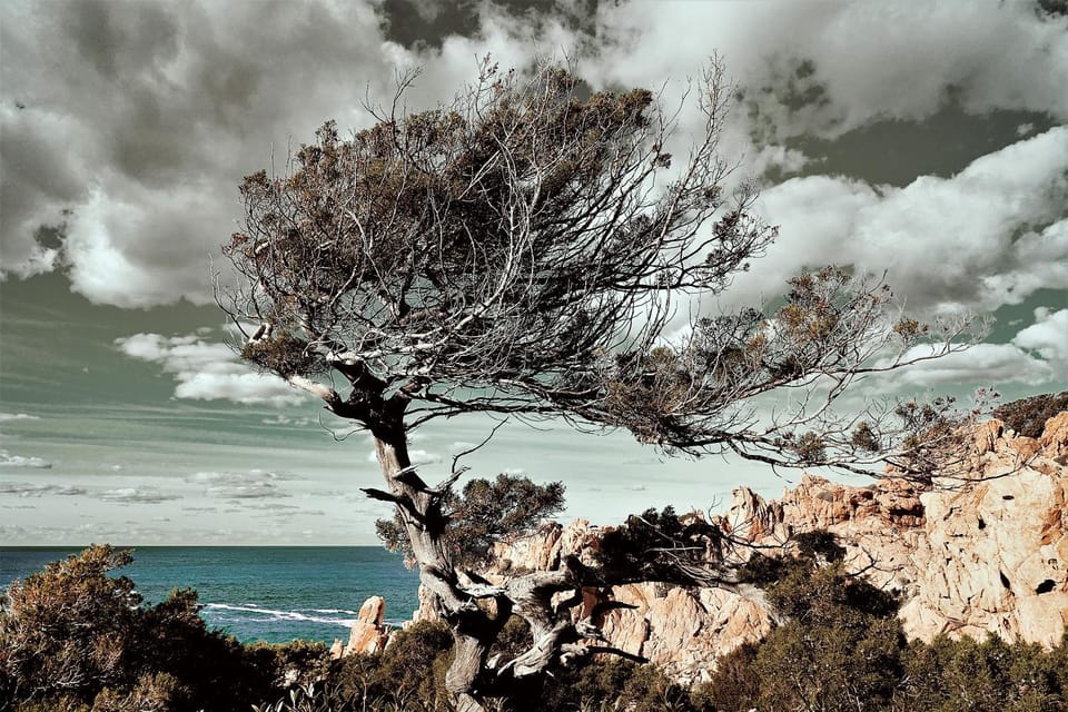Nearby landmark, Sea view