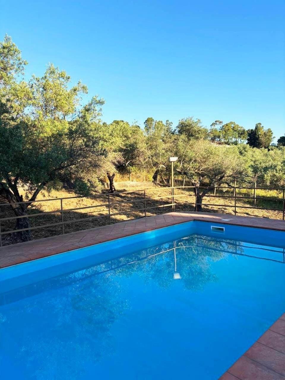 Day, Pool view, Swimming pool