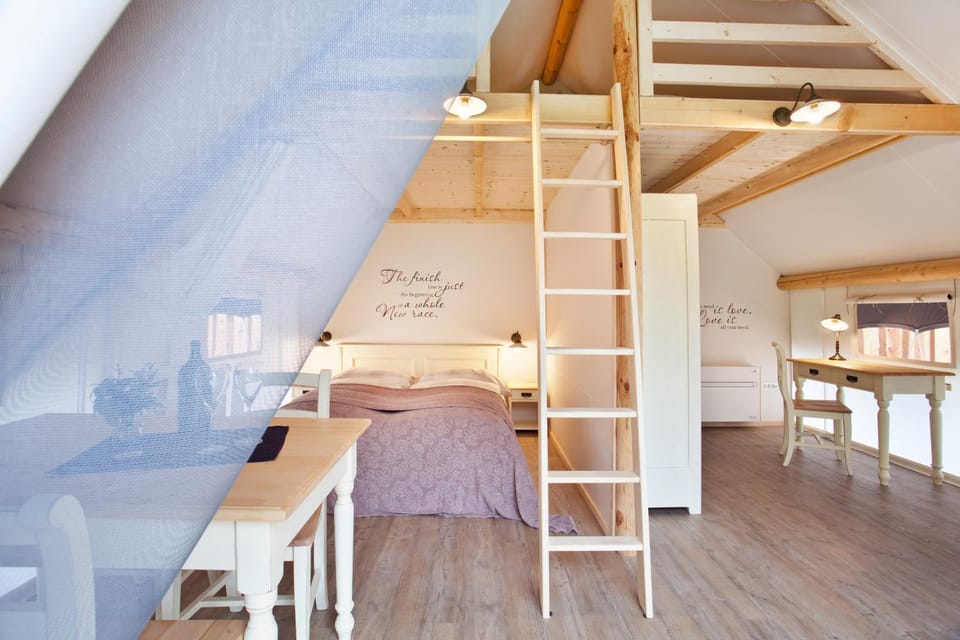 Bed, Photo of the whole room, Seating area, Bedroom, wardrobe