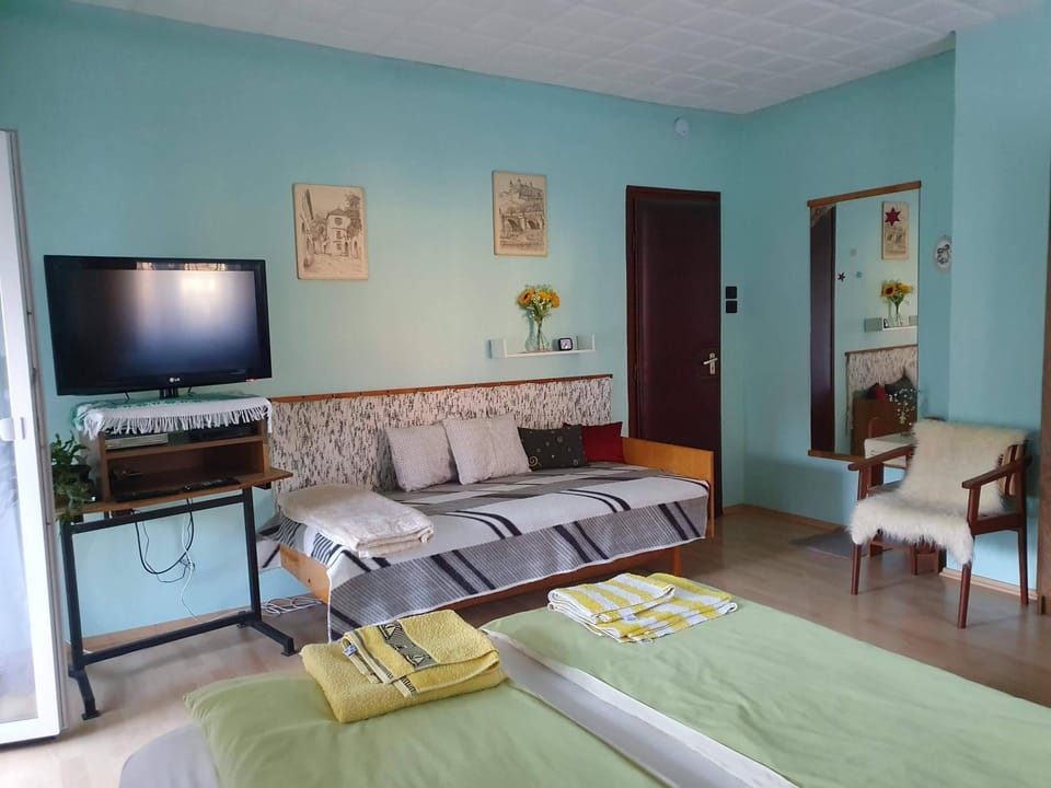 Bed, TV and multimedia, hair dresser